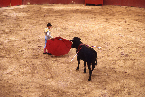 Toros5