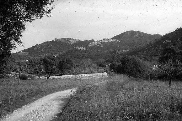 Sangonera-1
