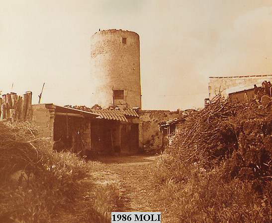 1986j Moli