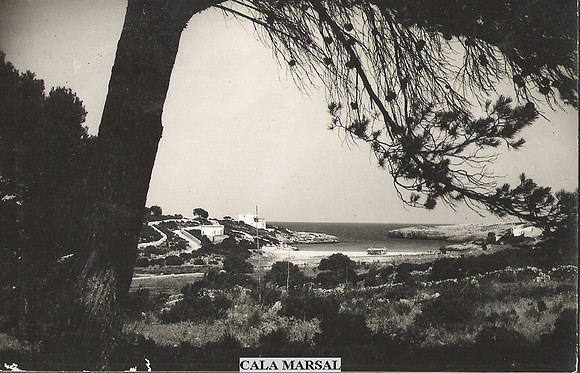 P0135