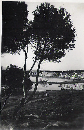 Vista
