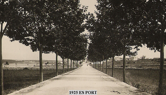 P0059