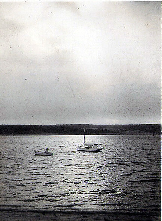 Vista d