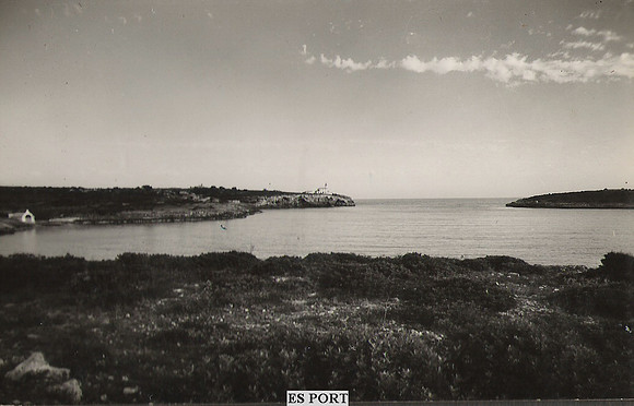 P0061
