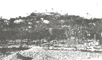 FELANITX MOLINS