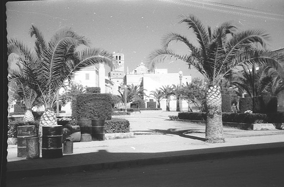 palmeres 13