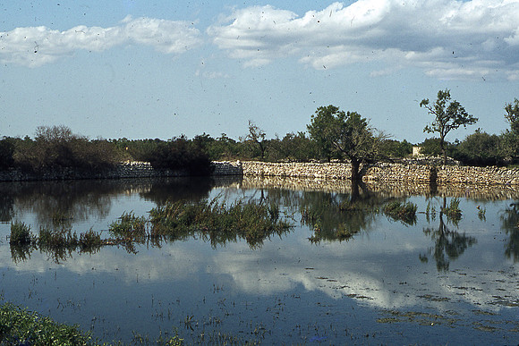 Son Navata-1