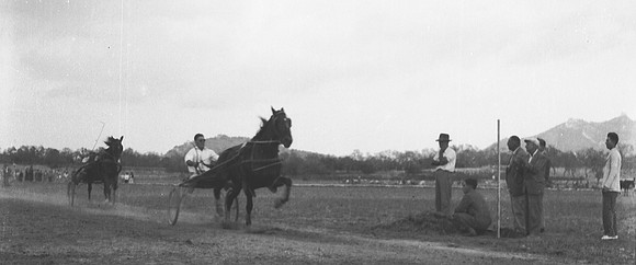 Escanear0193