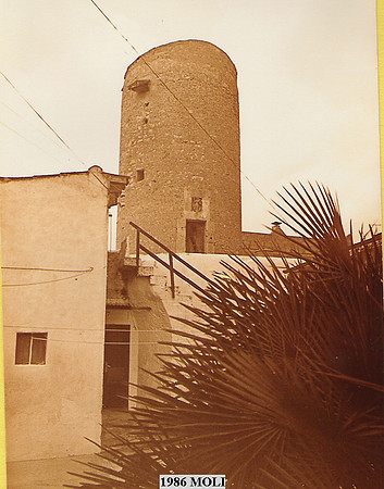 1986 Moli