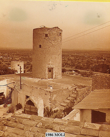 1986e Moli