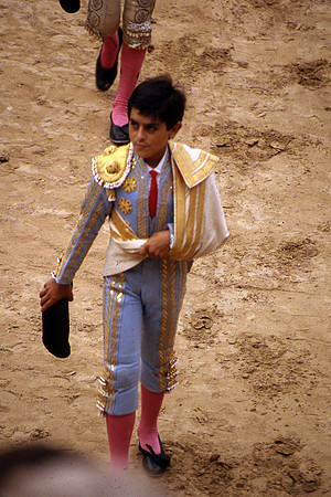 Toros7