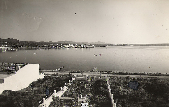 P0091