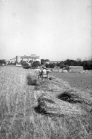 Seguen a máquina-1