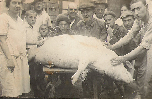 1922  Es porc fregat