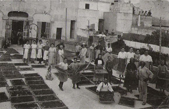 1929 Sequer d'Albarcocs