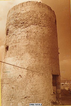 1986ll  Moli