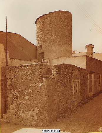 1986g Moli