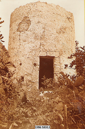 1986i Moli