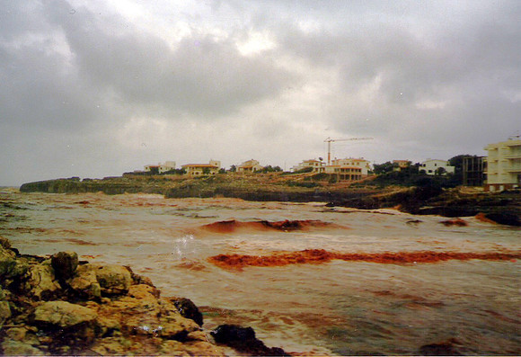 1989 Inundacio 15