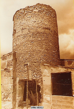 1986d Moli