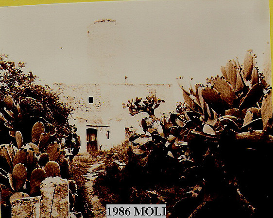 1986c Moli