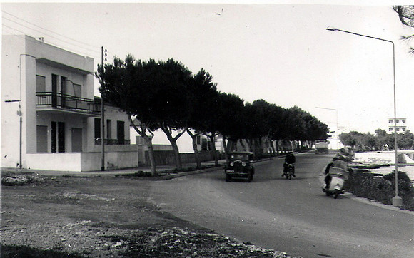 Curva de Can Timoner