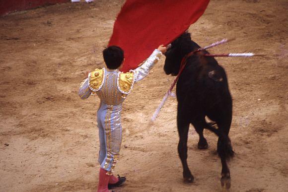 Toros-14