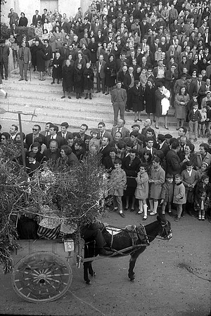 Sant Antoni-30