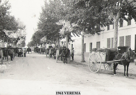 1961 Verema