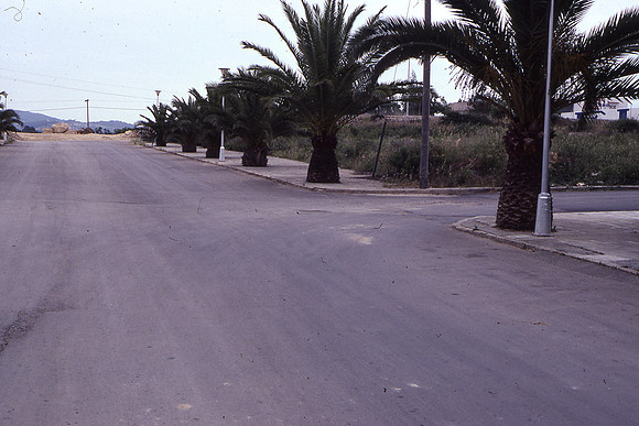 C- Manacor-2