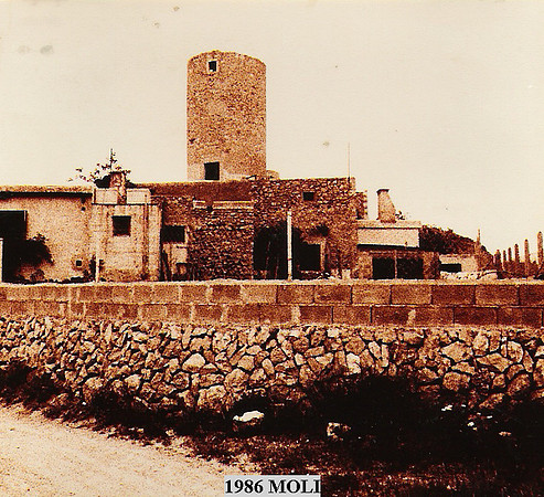 1989j Moli