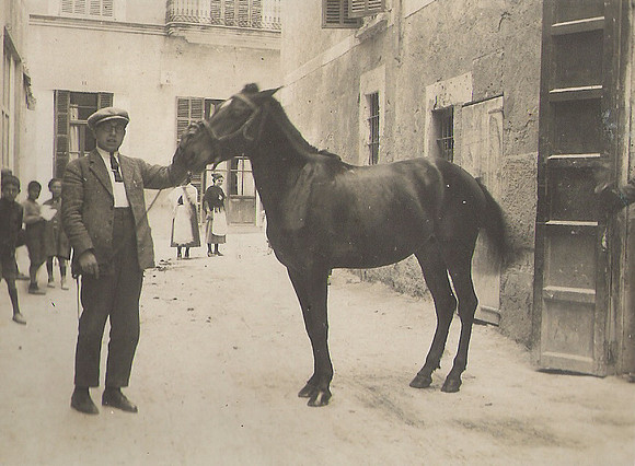 1922 Cavall
