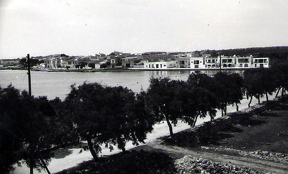 1952 Avinguda des tamarells
