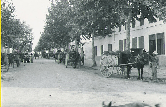 1961 Carros amb portadores