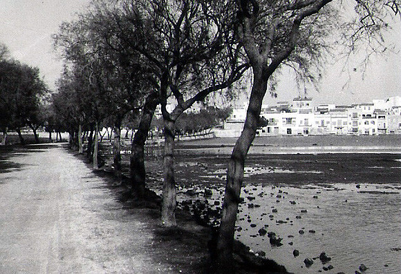 1970 Es paseig des tamarells
