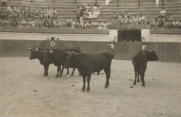 1930a Explorar0001