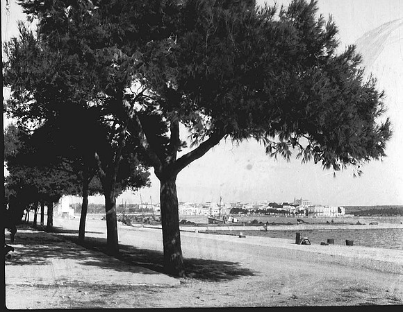 Escanear0134