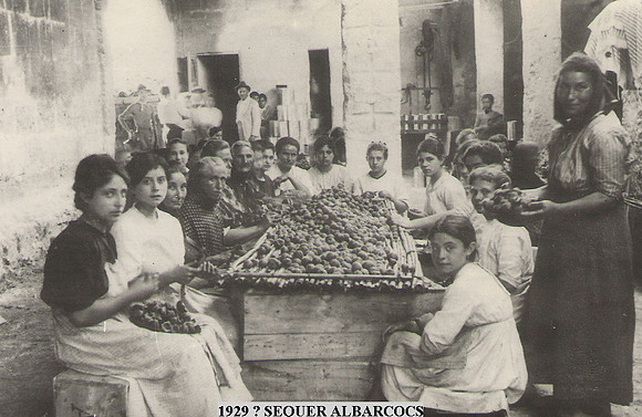 1929 Sequer Albarcocs