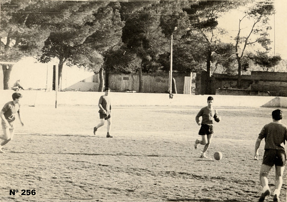 Nº 256