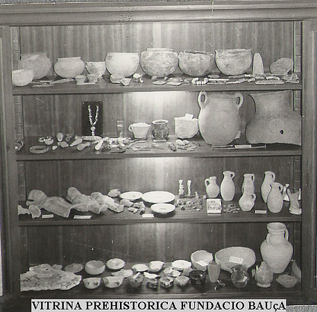 0016 Vitrina Prehistorica Fundacio Mn. Cosme Bauza