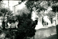 FLANITX 1967