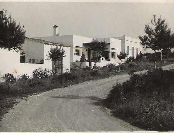 Vista i