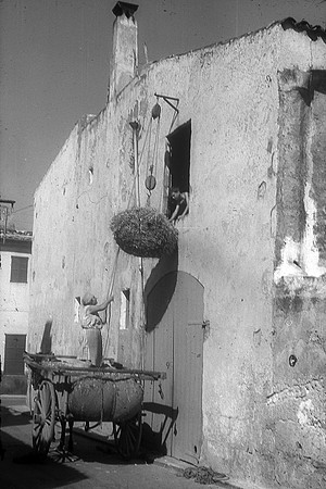 Palla-1