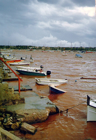1989 Inundacio 08