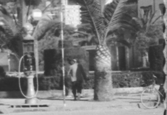 palmeres 12