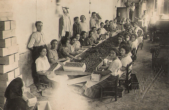 1930 Preparant figues seques