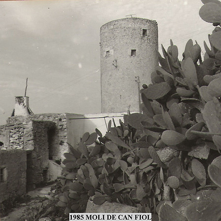 1985 Moli de Can Fiol