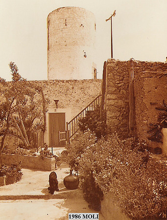1986n Moli