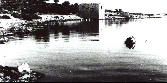 1956 Casseta den Palau