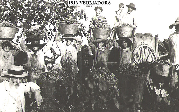 1913 Vermadors